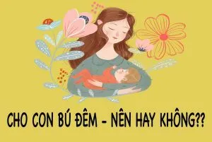 bú đêm
